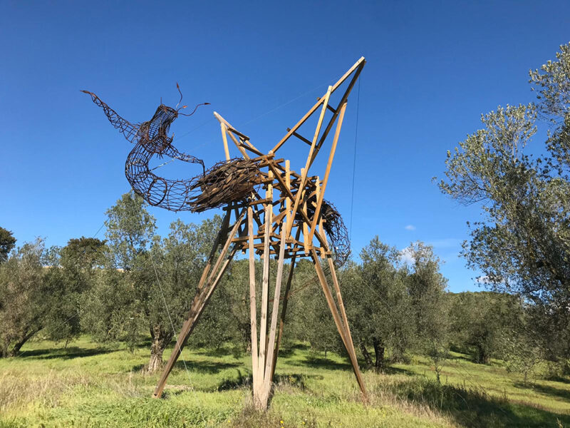Installazioni artistiche tra gli olivi