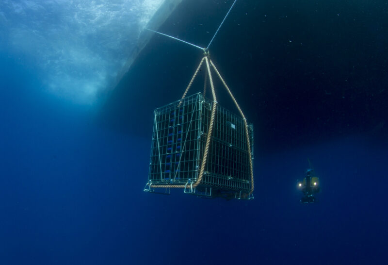 Il cantinamento subacqueo è possibile, con il metodo Jamin. C’è attesa anche per l’olio