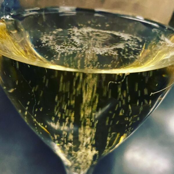 Unesco e Ais si impegnano per una maggiore competitività del settore vinicolo