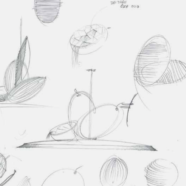 Una olivicoltura futurista per un design oleario etico e sostenibile