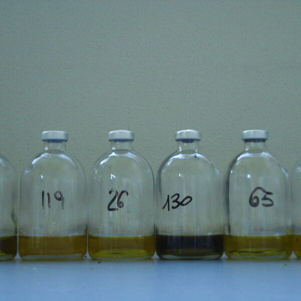 MIOOA 2024, punto per punto le indicazioni per partecipare