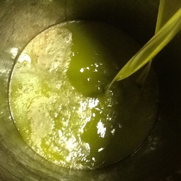 La valorizzazione della Coratina a partire da un brand