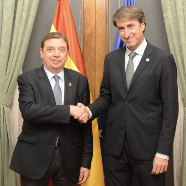 Spagna e Coi si interrogano sul futuro dell’olivicoltura mondiale