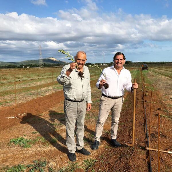 Addio a Domenico Manca, imprenditore illuminato