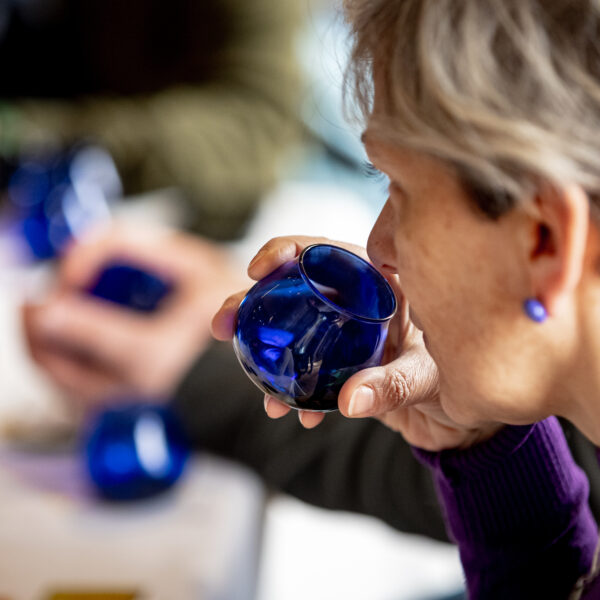 Come è andata l’olivagione 2023 per l’olio Dop Umbria