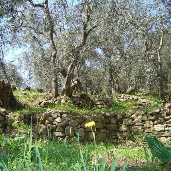 La protesta degli agricoltori, un disagio incompreso