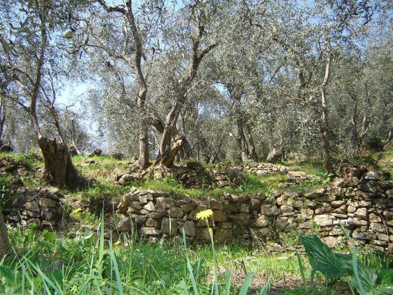 La protesta degli agricoltori, un disagio incompreso