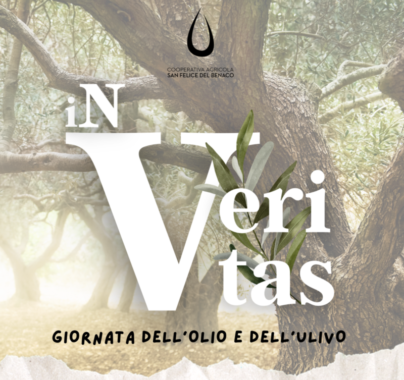 In veritas, una giornata dell’olio e dell’ulivo