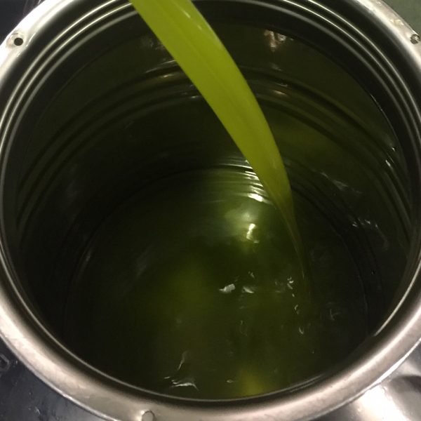 Il mercato dell’olio? È tutto molto complicato