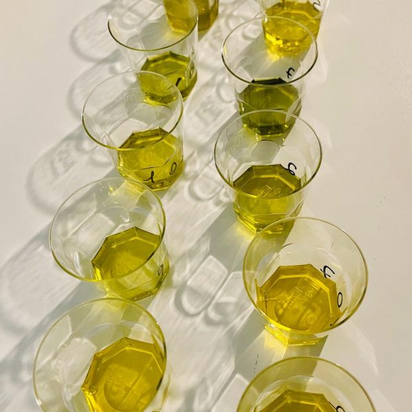 I vincitori del Milan International Olive Oil Award 2024