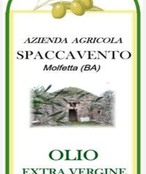 Ricco di profumi freschi l’extra vergine Spaccavento