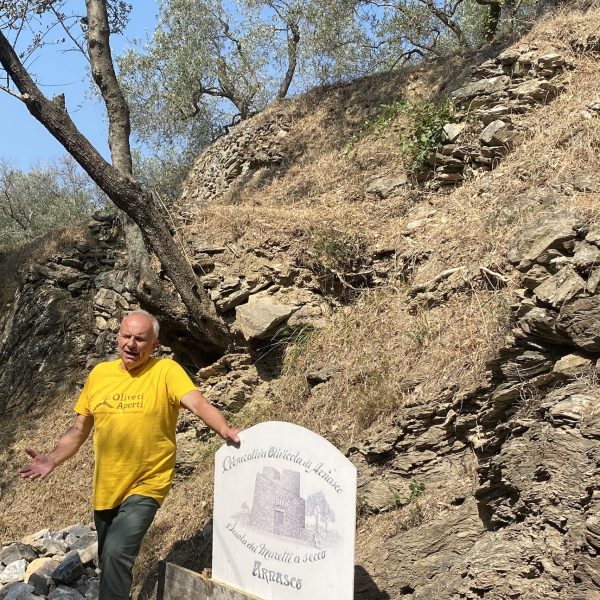 Risollevare l’olivicoltura a partire da un piccolo comune. Il caso Arnasco