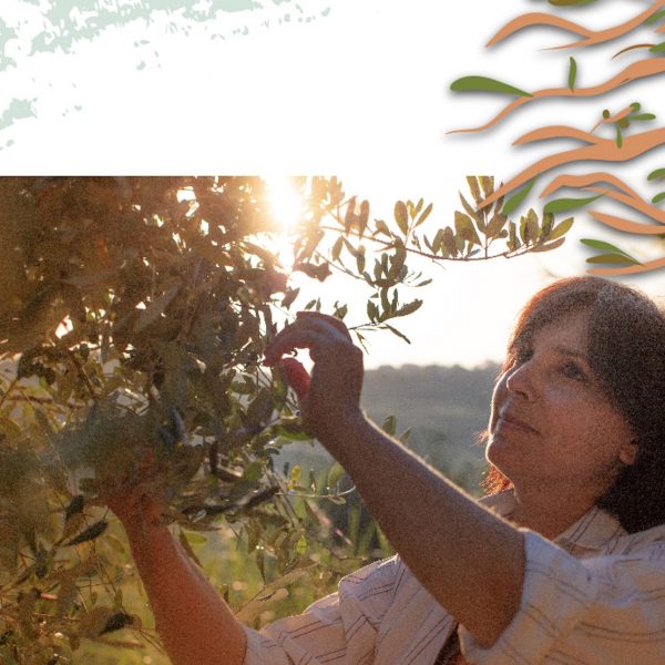 Non basta dire oleoturismo. Occorre cercare i turisti