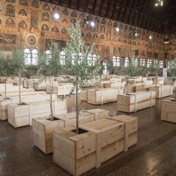 Ex It, installazione site-specific di Yoko Ono con al centro gli ulivi