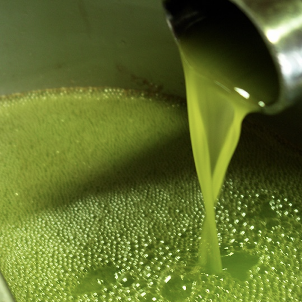 Una vorticosa discesa dei prezzi per l’olio