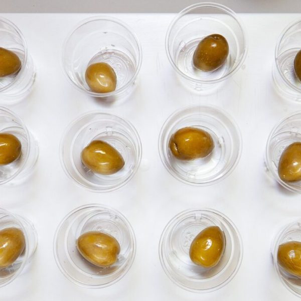 Un corso Onaoo per l’assaggio delle olive da tavola