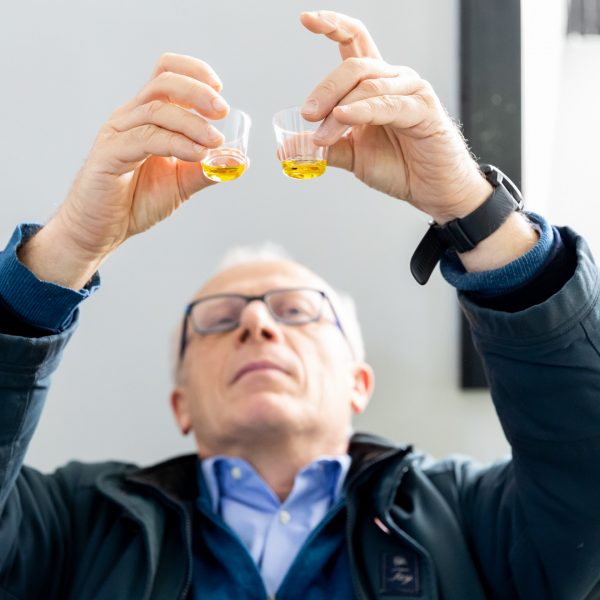 Lo stato del comparto oleario al 30 novembre 2024