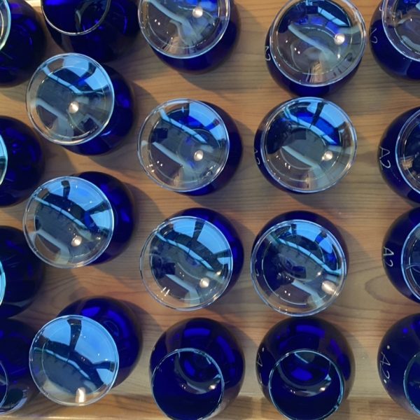 Al nastro di partenza il concorso qualità degli oli Miooa 2025