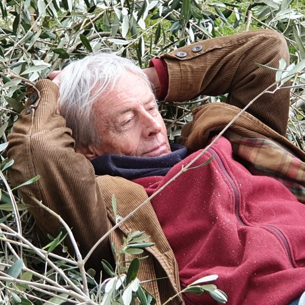 Gli oliveti del FAI nel racconto di Umberto Giolli