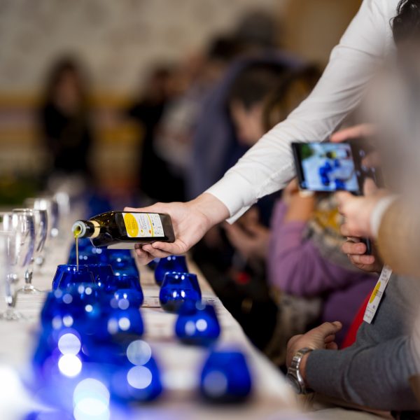 Come è andata l’olivagione 2024 in Umbria