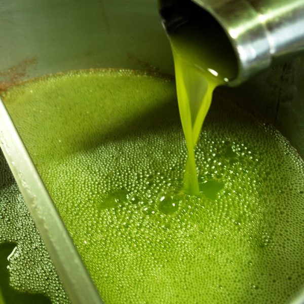 L’ammasso privato per l’olio extra vergine di oliva