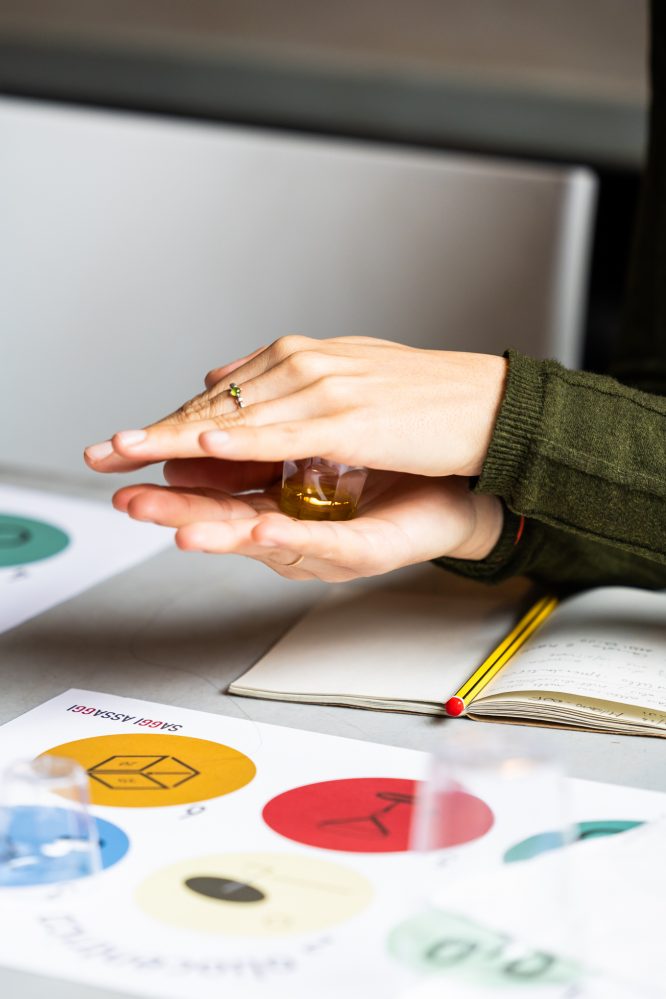 Export in crescita e valore in aumento per il comparto oleario italiano