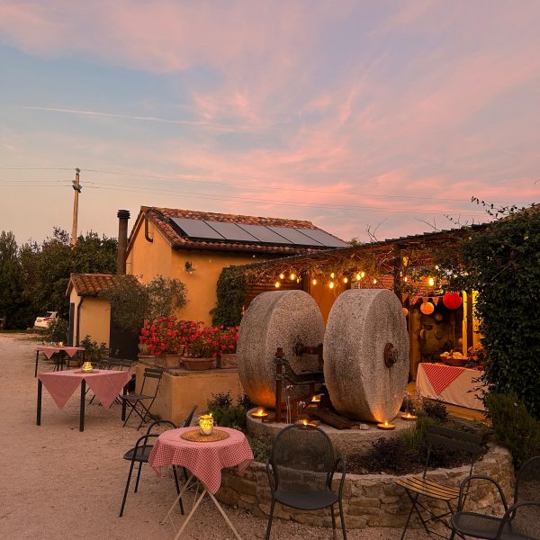 La grande sfida dell’olivicoltura umbra fa perno su ricerca e turismo