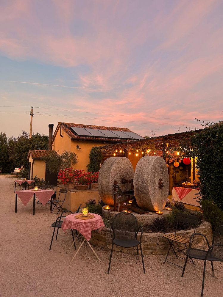 La grande sfida dell’olivicoltura umbra fa perno su ricerca e turismo