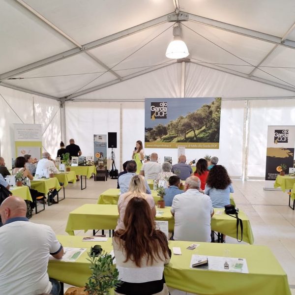 L’olio e il formaggio. Gli extra vergini Dop Garda a Caseus 2025