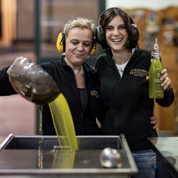 Arriva l’olio nuovo in Umbria. Viaggio tra i Colli Orvietani e i Colli Amerini