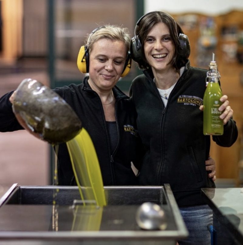 Arriva l’olio nuovo in Umbria. Viaggio tra i Colli Orvietani e i Colli Amerini