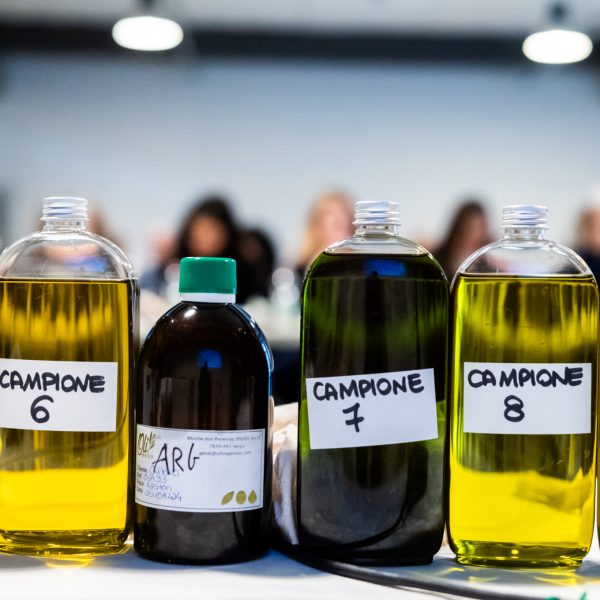 Una fotografia-radiografia della filiera olio da olive