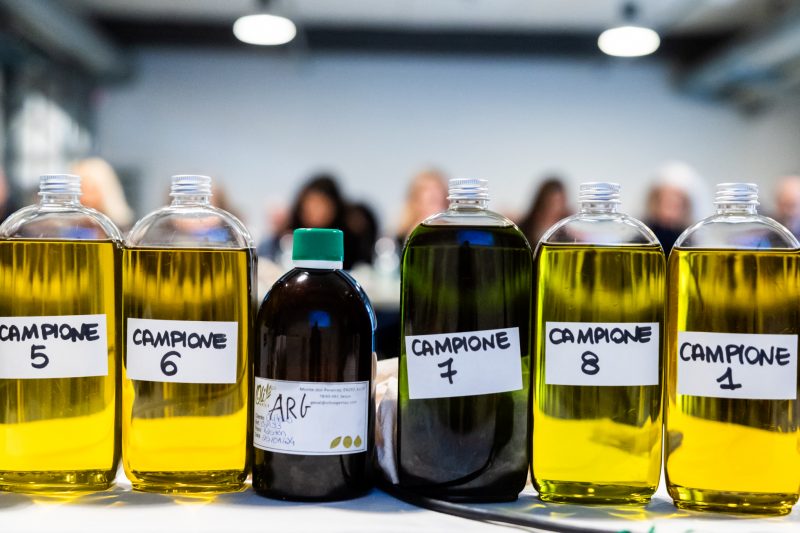 Una fotografia-radiografia della filiera olio da olive