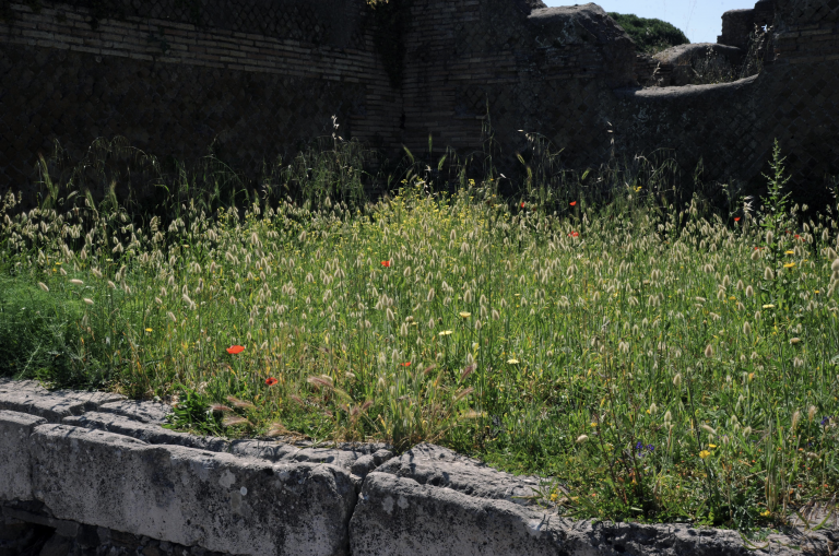 Ostia antica, foto Carla Morselli