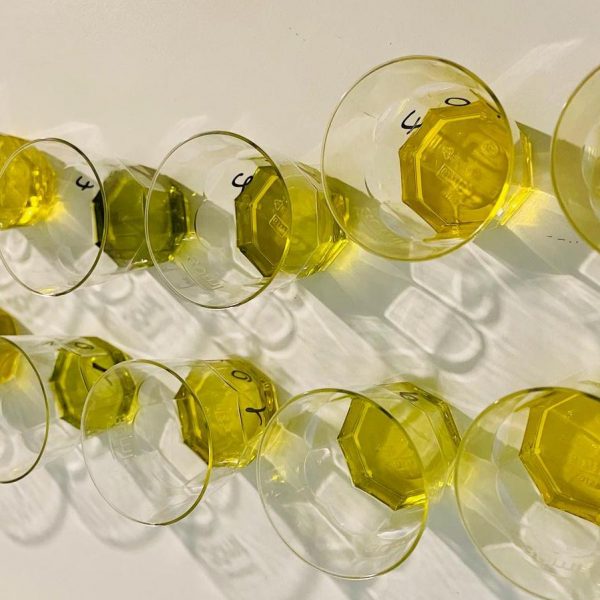 Sensorialmente appagante. Con Unifol l’extra vergine volta pagina