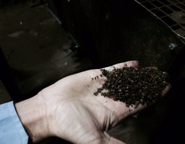 Precedenza assoluta all’utilizzo alimentare della sansa vergine