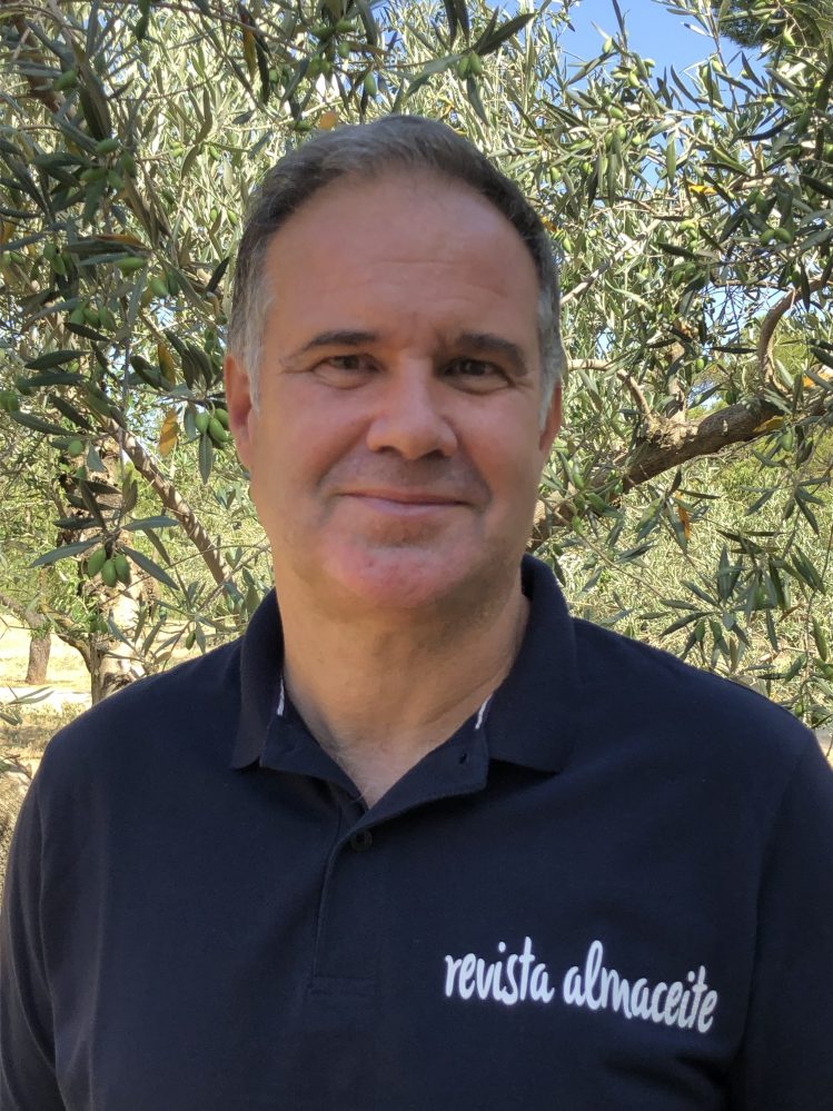 Cosa accade nella Spagna olearia