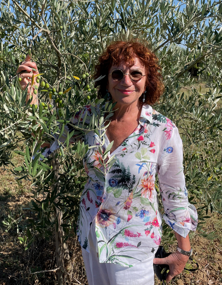 È gran festa per il primo raccolto dall’uliveto urbano di Alessandria