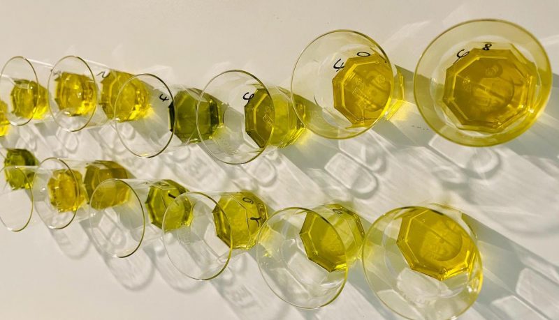 Terzo trimestre 2025 record per l’export degli oli da olive