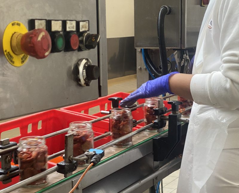 Sottolio, sottaceto e in salamoia. Tutto quel che serve sapere