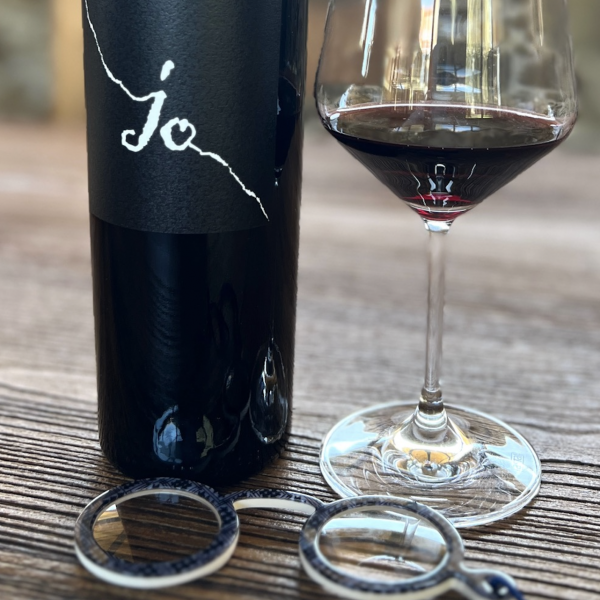 Gianfranco Fino e l’arte di scombussolare le carte in tavola