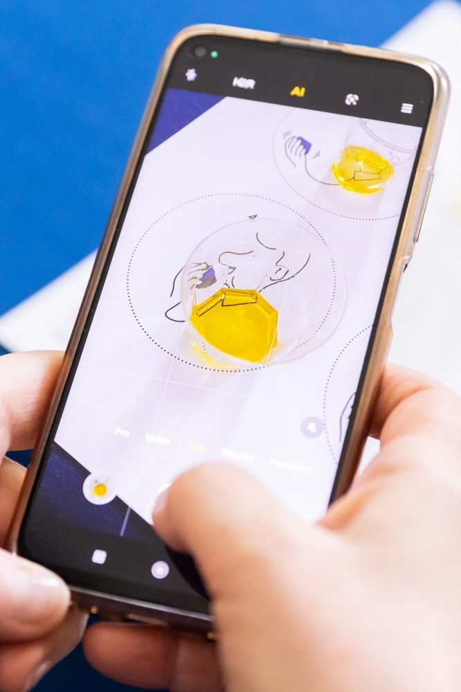 Lo stato del comparto oleario al 31 ottobre 2025